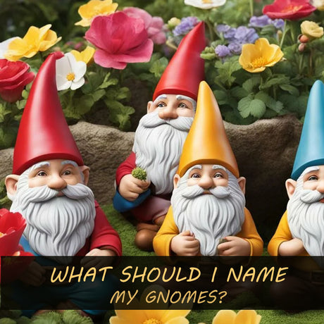 What should I name my gnome?