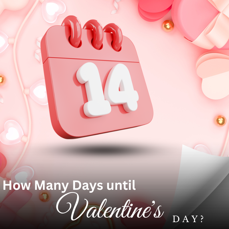 How Many Days until Valentine's Day? Every Girl Loves Sparkles Home Decor