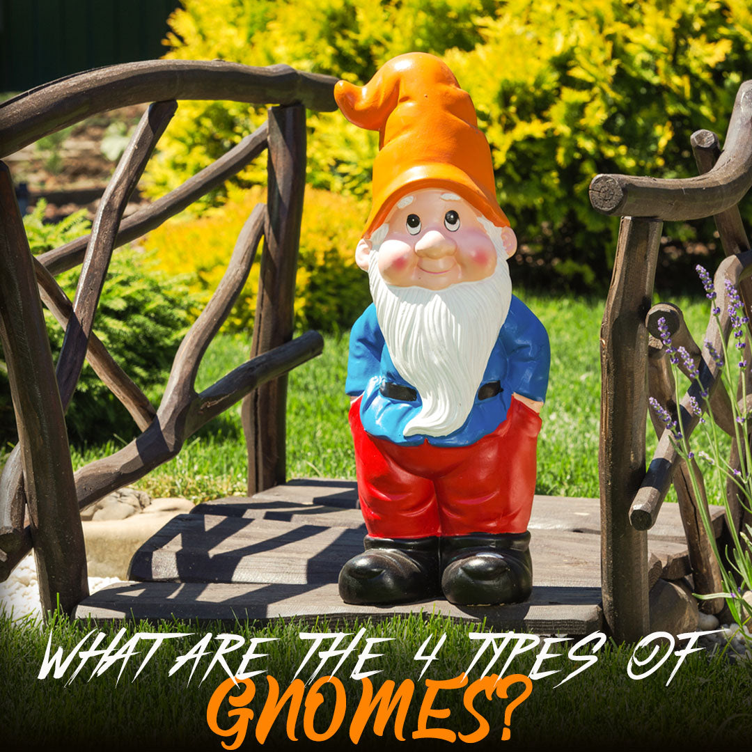What Are the 4 Types of Gnomes?