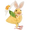 Easter Egger Chicks - Every Girl Loves Sparkles 