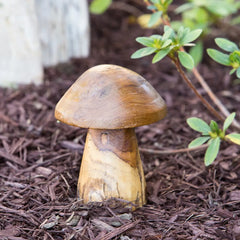 Tea Tree Gargen Mushroom -Every Girl Loves Sparkles